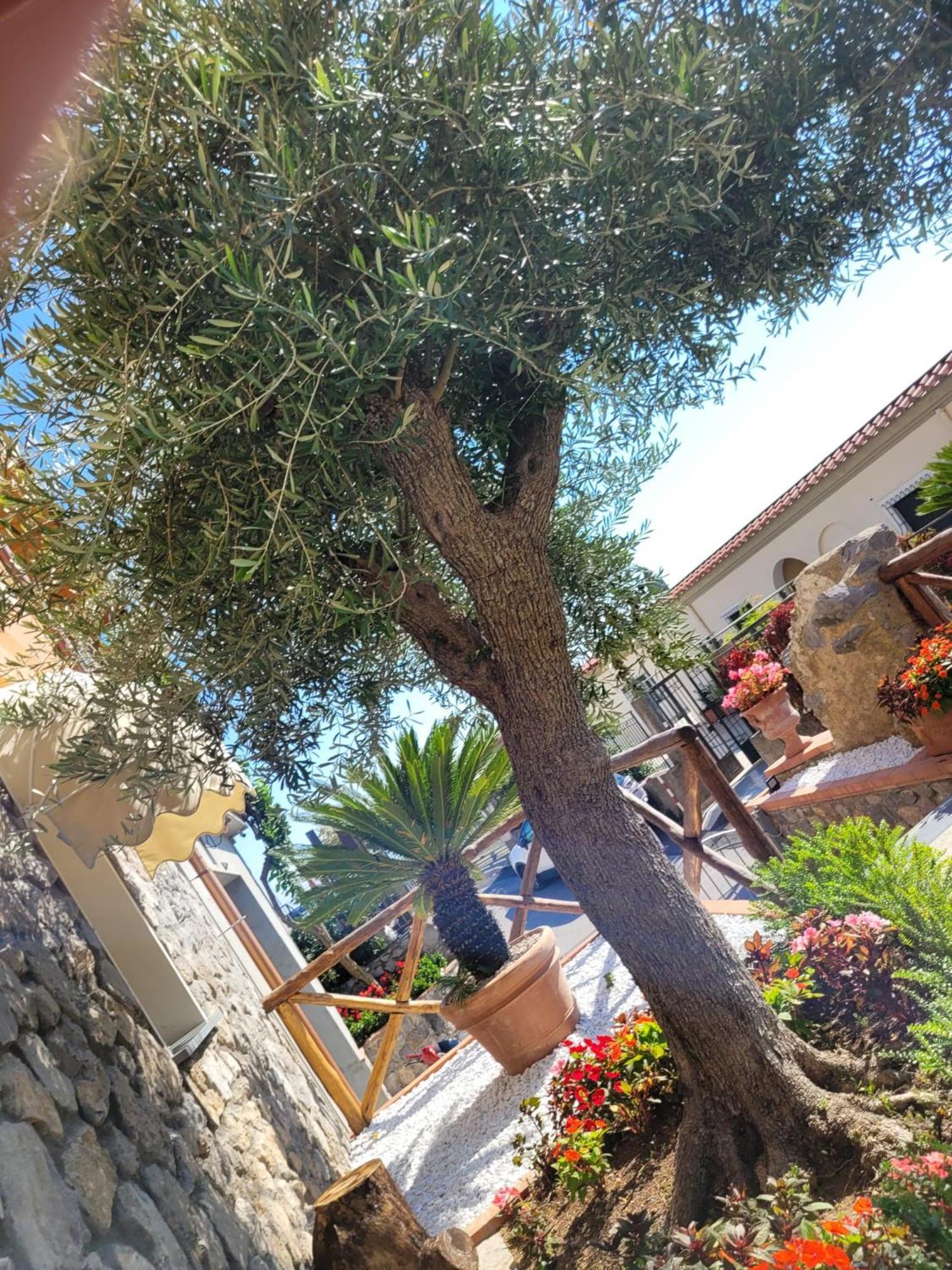 Holiday Luigi E Rachele Ραβέλλο Εξωτερικό φωτογραφία